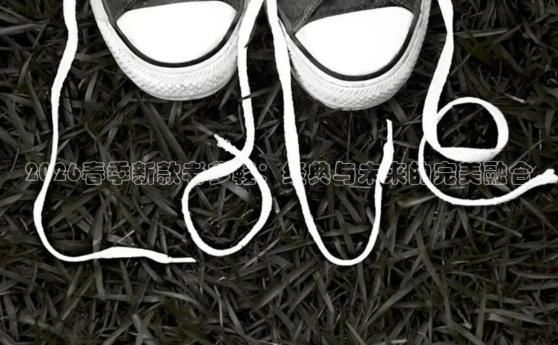 2026春季新款老爹鞋：经典与未来的完美融合